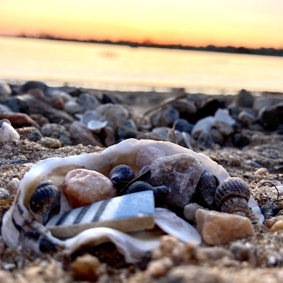 Rebelthrifts.co - Picture 6 of 11